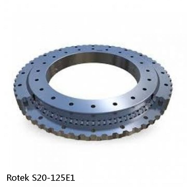 S20-125E1 Rotek Slewing Ring Bearings