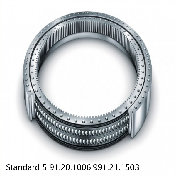 91.20.1006.991.21.1503 Standard 5 Slewing Ring Bearings