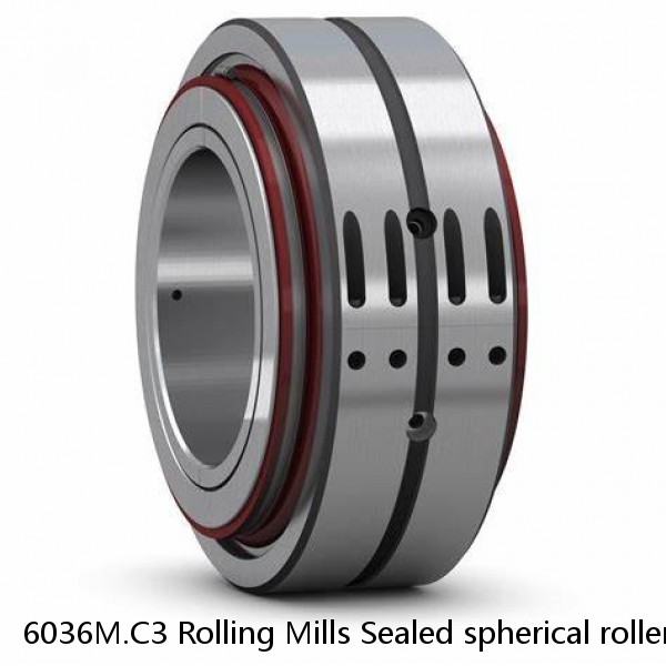 6036M.C3 Rolling Mills Sealed spherical roller bearings continuous casting plants