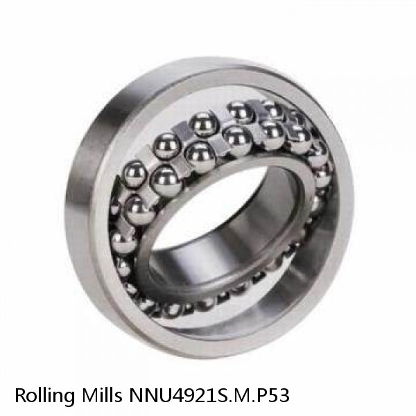 NNU4921S.M.P53 Rolling Mills Sealed spherical roller bearings continuous casting plants