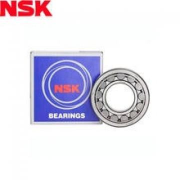 NJ 304 ET Cylindrical roller bearing NSK NJ304 ET Bearing Size 20x52x15