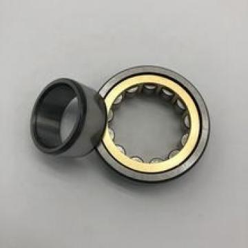 Made In China N213ET2X Cylindrical Roller Bearing