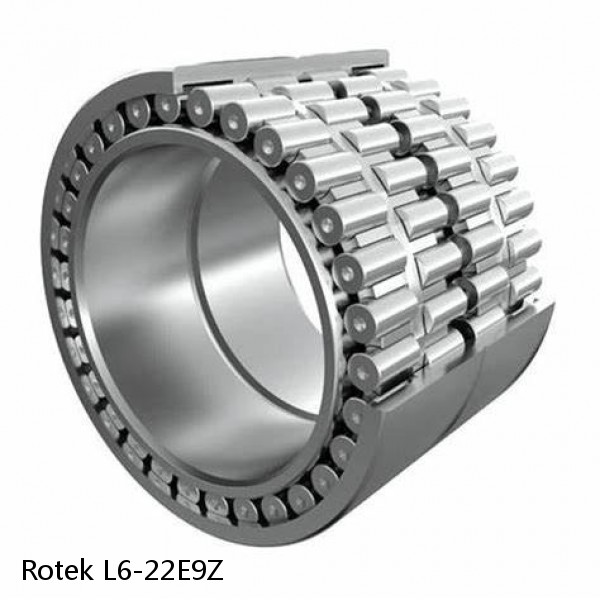L6-22E9Z Rotek Slewing Ring Bearings #1 small image