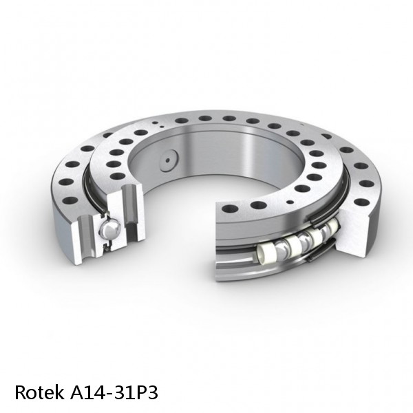 A14-31P3 Rotek Slewing Ring Bearings #1 small image