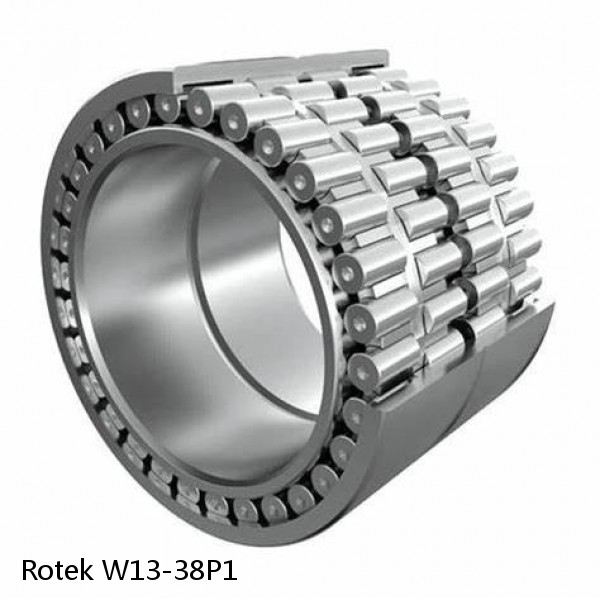 W13-38P1 Rotek Slewing Ring Bearings
