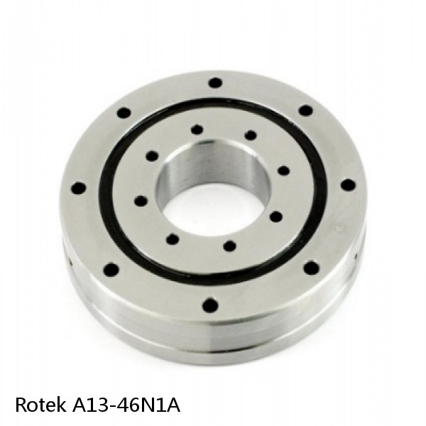 A13-46N1A Rotek Slewing Ring Bearings #1 small image