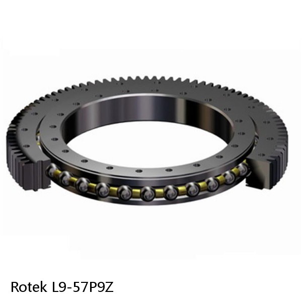 L9-57P9Z Rotek Slewing Ring Bearings #1 small image