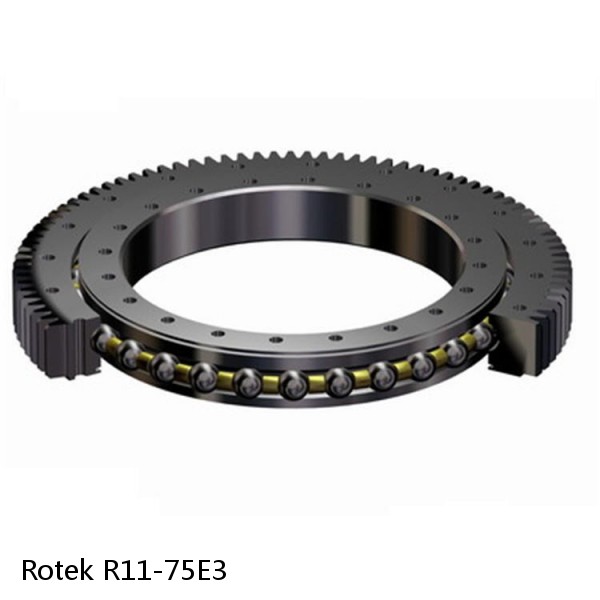 R11-75E3 Rotek Slewing Ring Bearings #1 small image