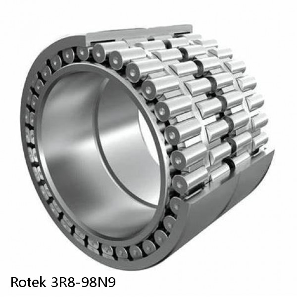 3R8-98N9 Rotek Slewing Ring Bearings #1 small image