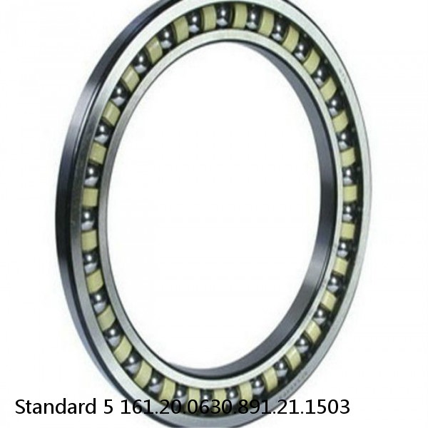 161.20.0630.891.21.1503 Standard 5 Slewing Ring Bearings #1 small image