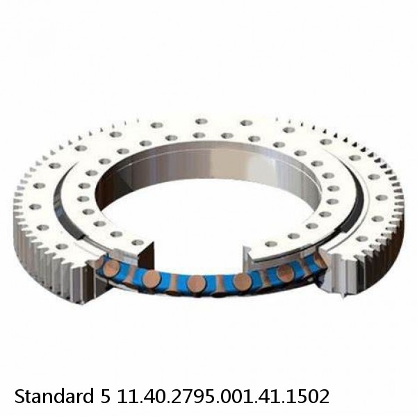 11.40.2795.001.41.1502 Standard 5 Slewing Ring Bearings #1 small image