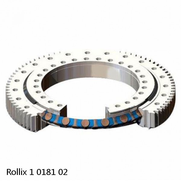 1 0181 02 Rollix Slewing Ring Bearings #1 small image