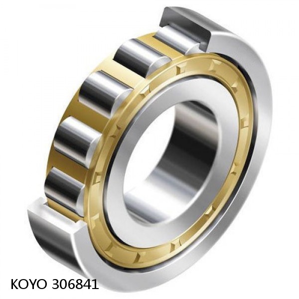 306841 KOYO Single-row deep groove ball bearings #1 small image