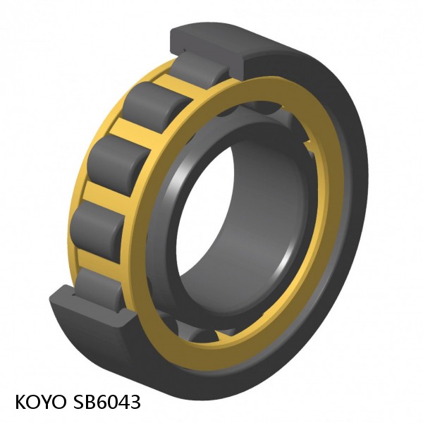 SB6043 KOYO Single-row deep groove ball bearings