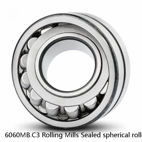 6060MB.C3 Rolling Mills Sealed spherical roller bearings continuous casting plants #1 small image