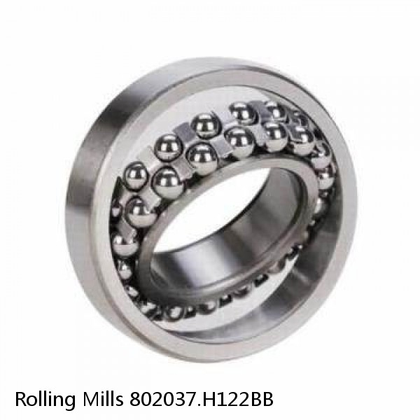 802037.H122BB Rolling Mills Sealed spherical roller bearings continuous casting plants #1 small image