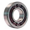 Good Performance NU310 Cylindrical Roller Bearing 50x110x27 Cylindrical Bearings for Electric Motors