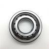 Cylindrical Roller Bearing NUP 304 NUP304 NUP-304 20x52x15 mm #1 small image