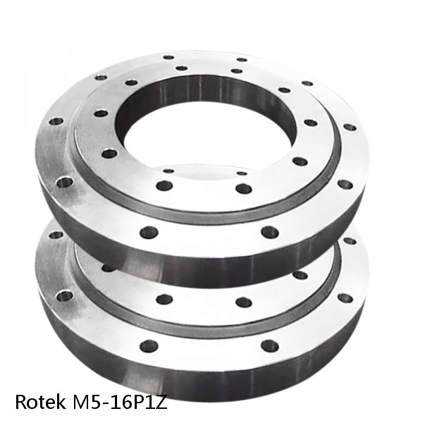M5-16P1Z Rotek Slewing Ring Bearings #1 image