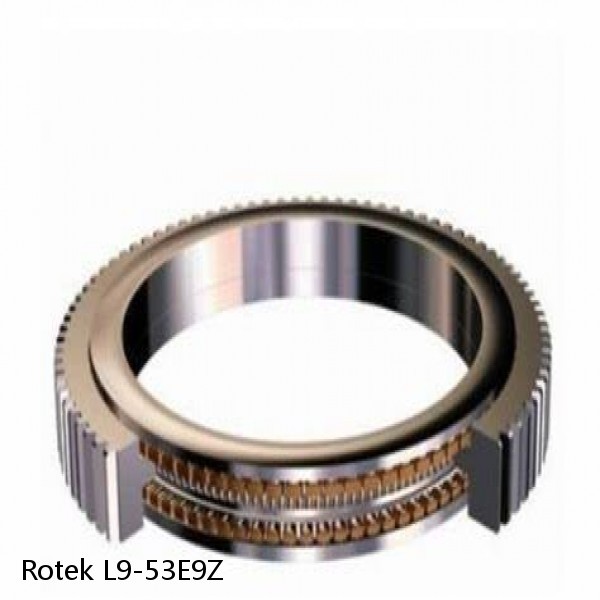 L9-53E9Z Rotek Slewing Ring Bearings #1 image