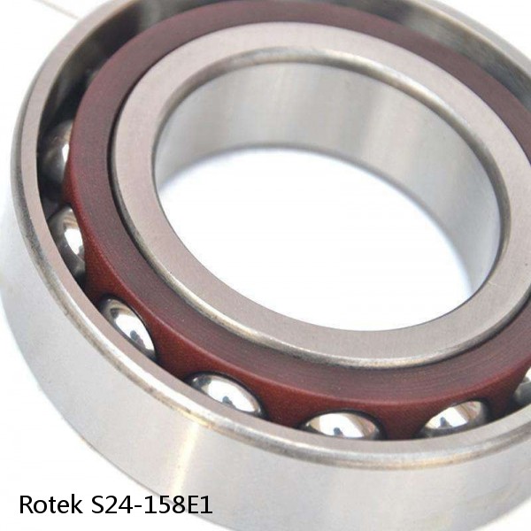 S24-158E1 Rotek Slewing Ring Bearings #1 image