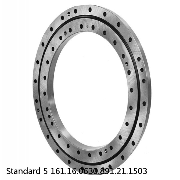 161.16.0630.891.21.1503 Standard 5 Slewing Ring Bearings #1 image