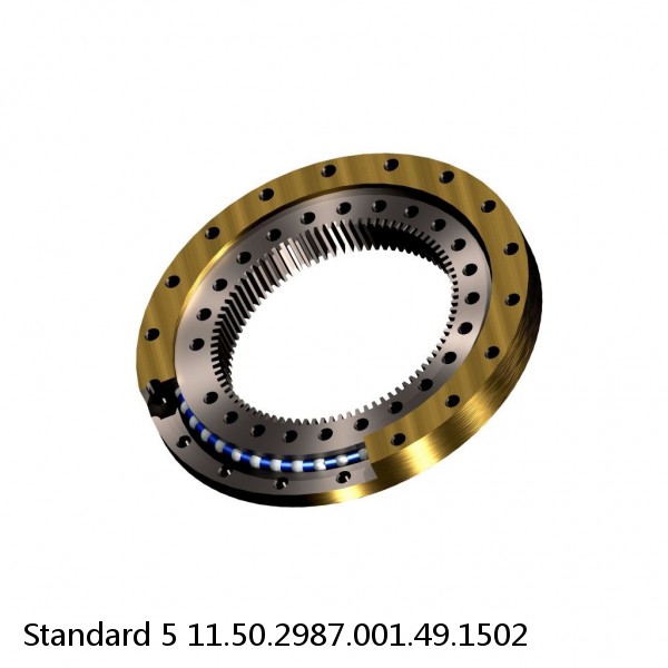 11.50.2987.001.49.1502 Standard 5 Slewing Ring Bearings #1 image