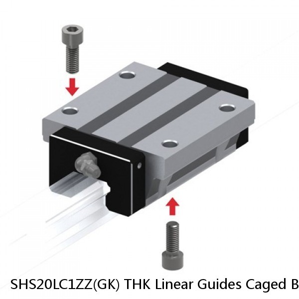 SHS20LC1ZZ(GK) THK Linear Guides Caged Ball Linear Guide Block Only Standard Grade Interchangeable SHS Series #1 image