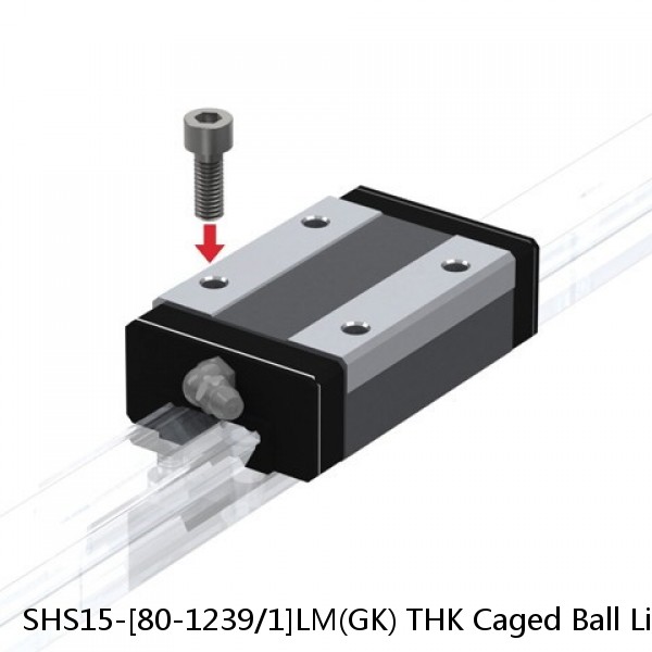 SHS15-[80-1239/1]LM(GK) THK Caged Ball Linear Guide Rail Only Standard Grade Interchangeable SHS Series #1 image