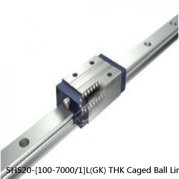 SHS20-[100-7000/1]L(GK) THK Caged Ball Linear Guide Rail Only Standard Grade Interchangeable SHS Series #1 image