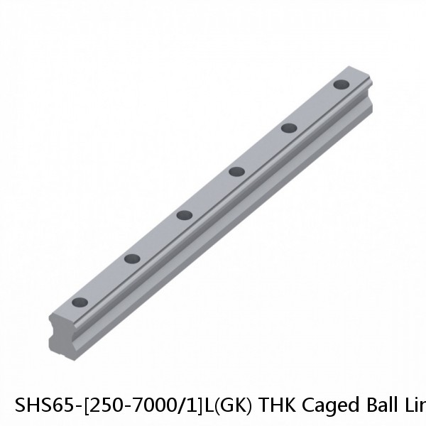 SHS65-[250-7000/1]L(GK) THK Caged Ball Linear Guide Rail Only Standard Grade Interchangeable SHS Series #1 image