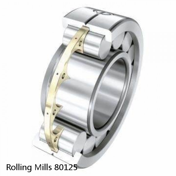 80125 Rolling Mills Sealed spherical roller bearings continuous casting plants #1 image