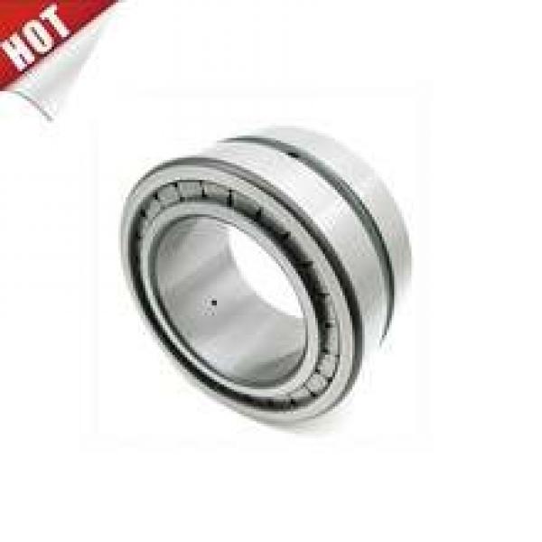 SL18 2234 full complement Cylindrical roller bearing 170X310X86 #1 image